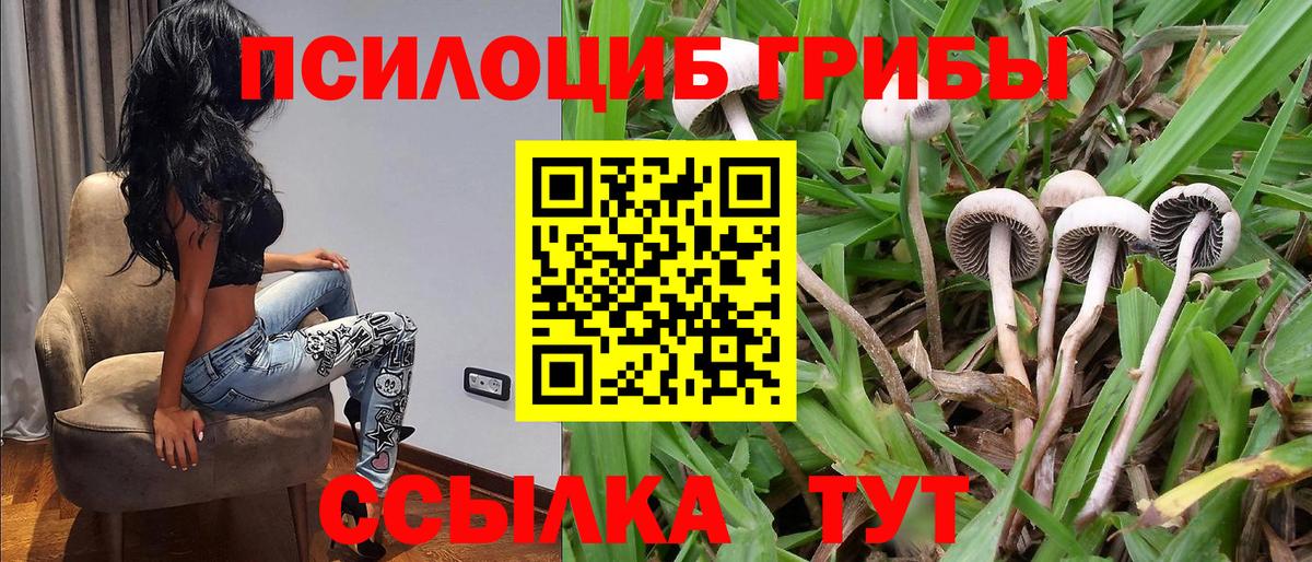 Чистополь  Галлюциногенные грибы GOLDEN TEACHER  Вход с VPN  Псилоцибиновые грибы ЛСД 